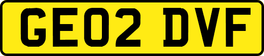GE02DVF