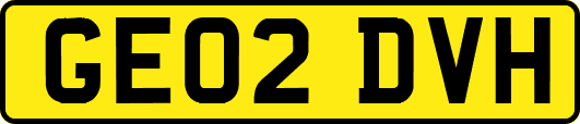 GE02DVH