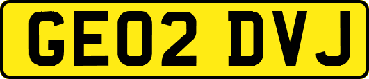 GE02DVJ