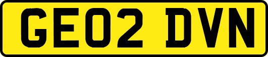 GE02DVN
