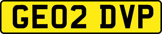 GE02DVP