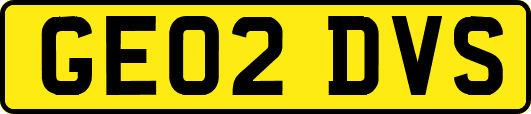 GE02DVS
