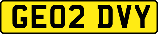 GE02DVY
