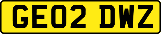 GE02DWZ