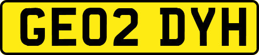 GE02DYH