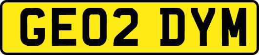 GE02DYM
