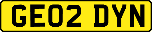 GE02DYN