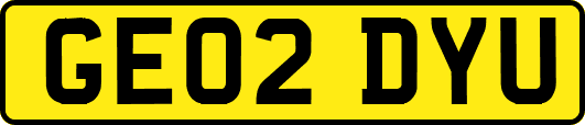 GE02DYU