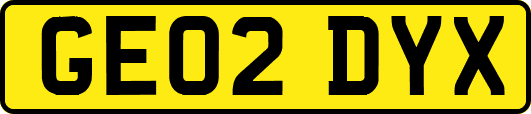 GE02DYX