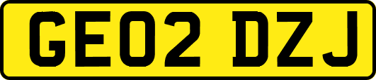 GE02DZJ
