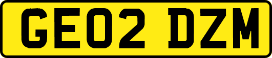 GE02DZM