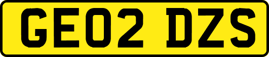GE02DZS