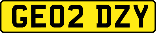 GE02DZY