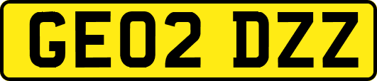 GE02DZZ