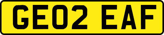 GE02EAF