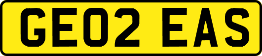 GE02EAS