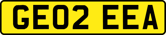 GE02EEA
