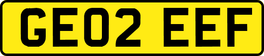 GE02EEF