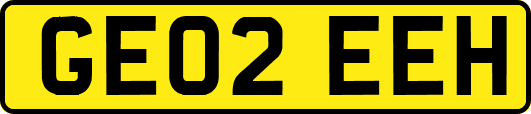 GE02EEH