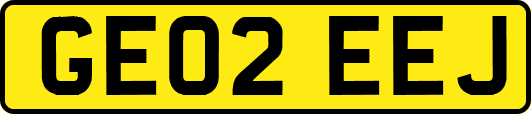 GE02EEJ