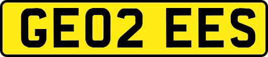 GE02EES