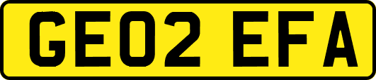 GE02EFA