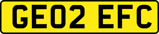 GE02EFC