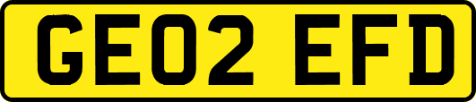 GE02EFD