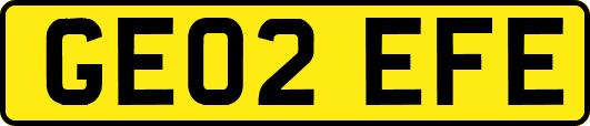 GE02EFE