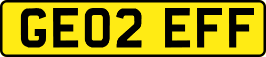 GE02EFF