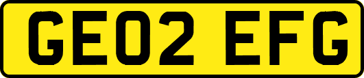 GE02EFG