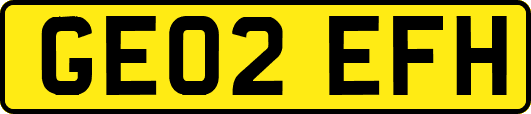 GE02EFH