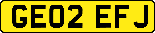 GE02EFJ