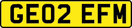 GE02EFM
