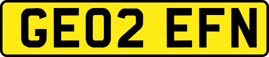 GE02EFN