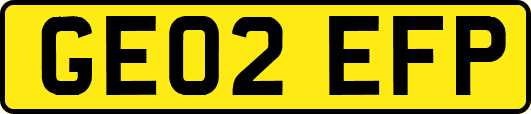 GE02EFP