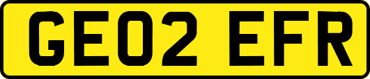 GE02EFR