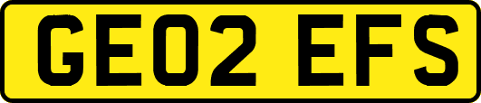 GE02EFS