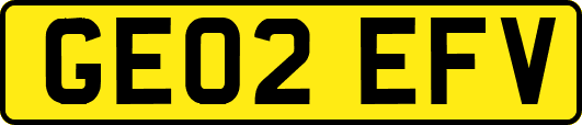 GE02EFV