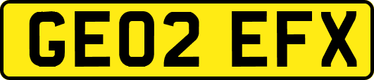 GE02EFX