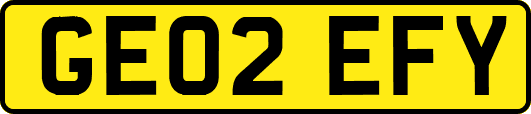 GE02EFY