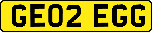 GE02EGG