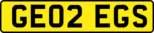 GE02EGS