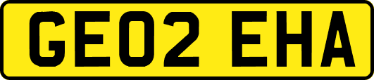 GE02EHA
