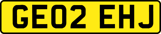 GE02EHJ