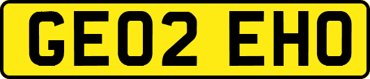 GE02EHO
