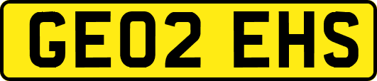 GE02EHS