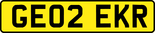 GE02EKR