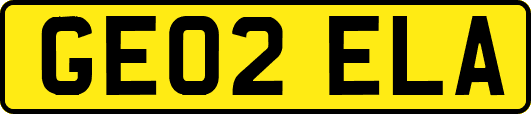 GE02ELA