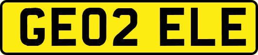 GE02ELE